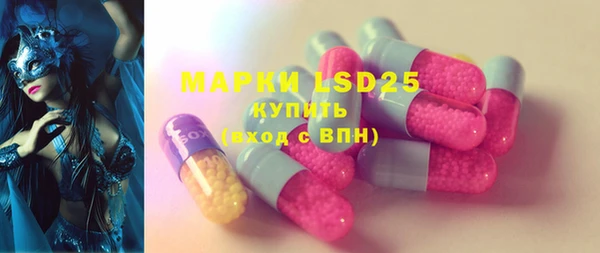 шишки Анива