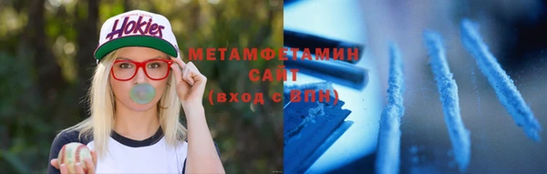 шишки Анива