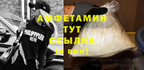 крисы Новодвинск