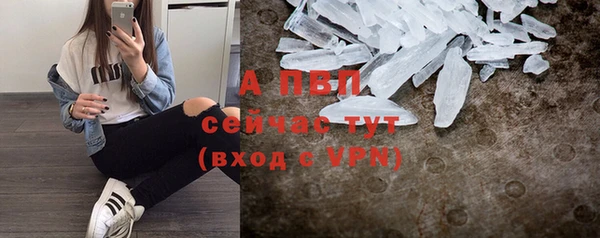 крисы Новодвинск