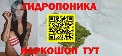 МДПВ Донецк