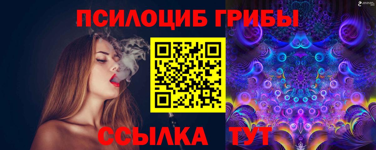 Менделеевск  Псилоцибиновые грибы мухоморы  Вход с VPN 