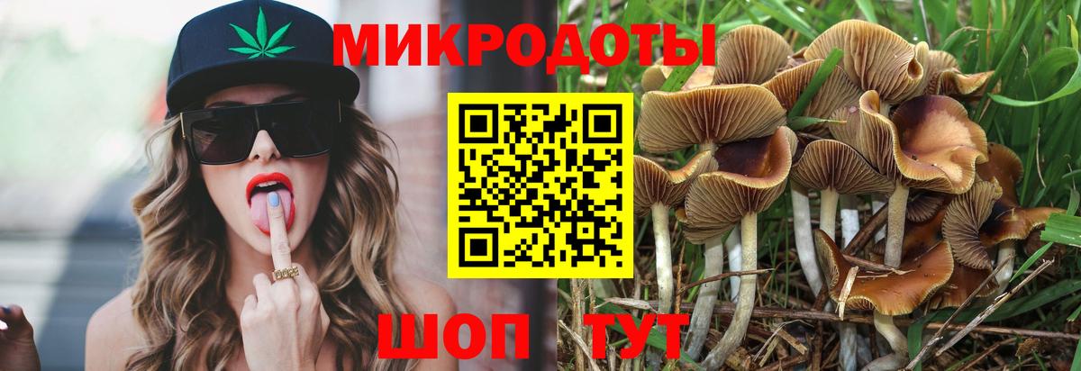 Псилоцибиновые грибы GOLDEN TEACHER Менделеевск